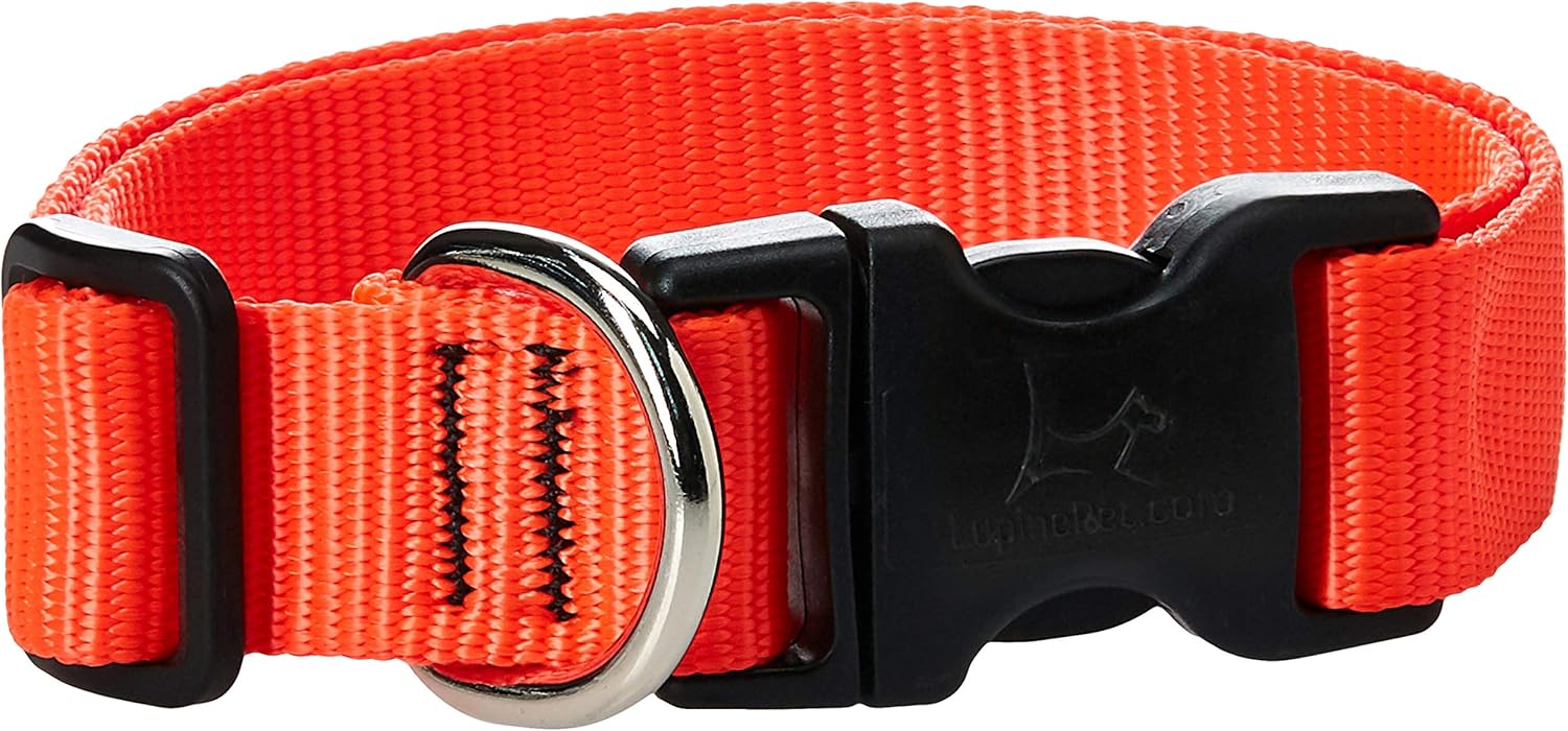 1in Blaze Orange 12-20 Adj Collar