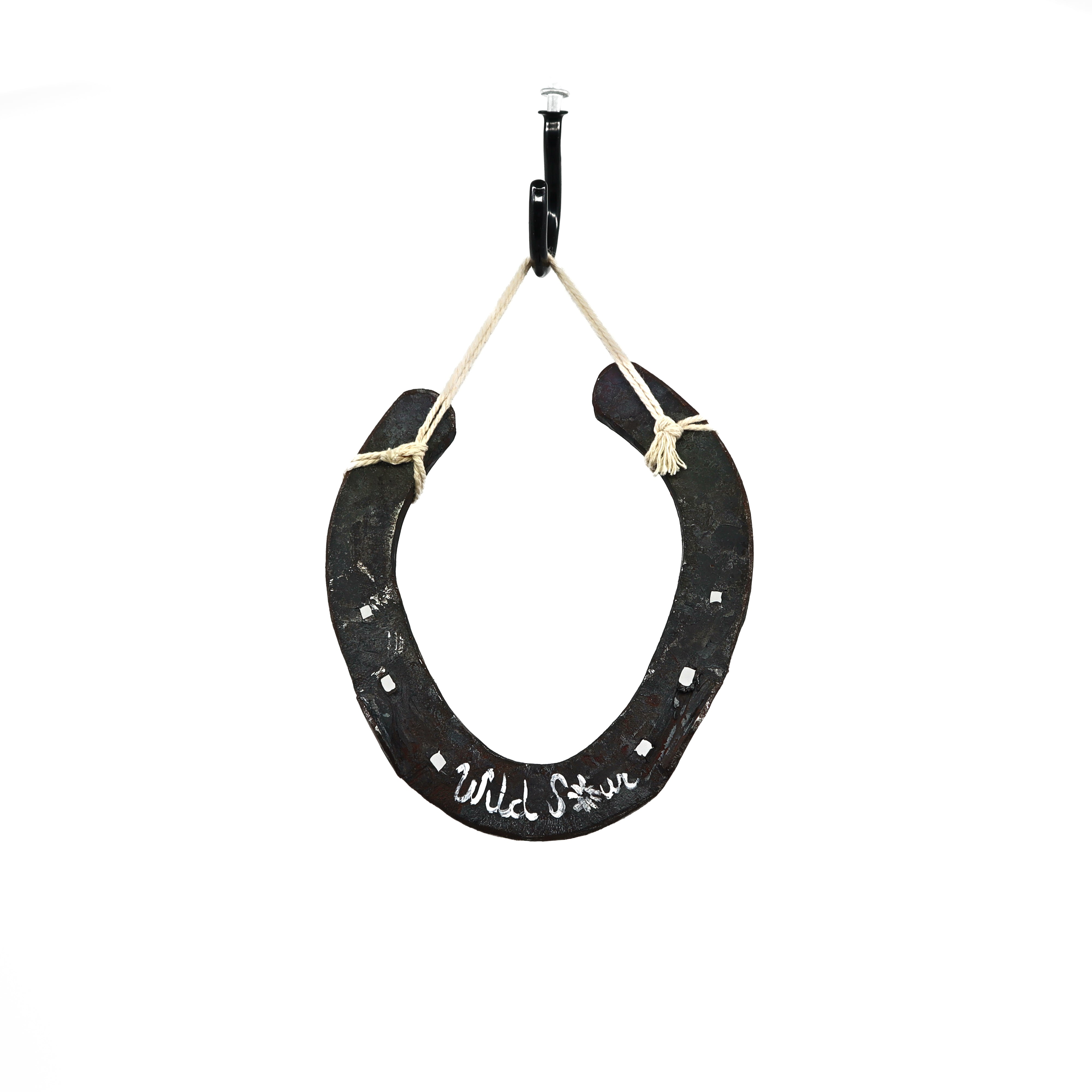 Wild Sour hand painted rustic horseshoe with autumn leaves design hanging on rope