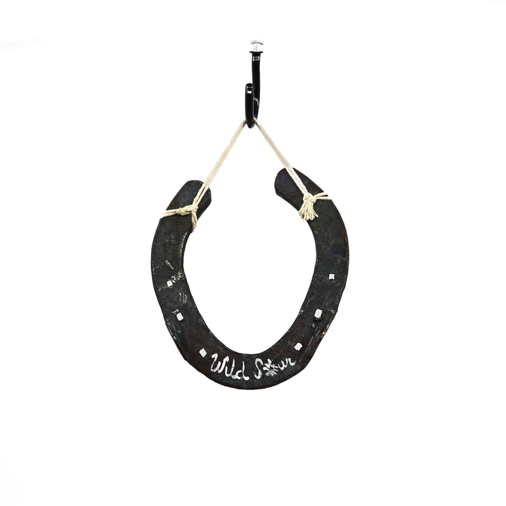 Wild Sour hand painted rustic horseshoe with autumn leaves design hanging on rope