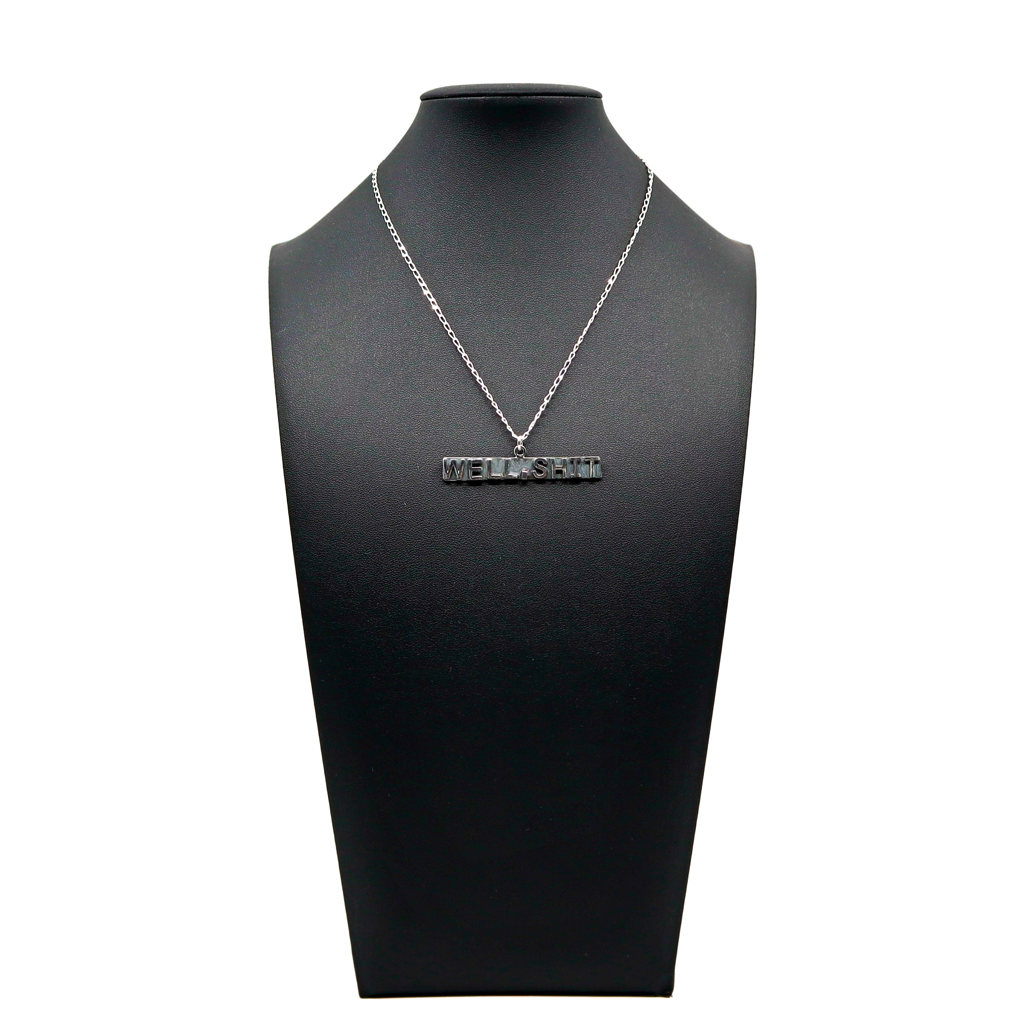 Handmade sterling silver necklace with "Well, S***" pendant on display bust