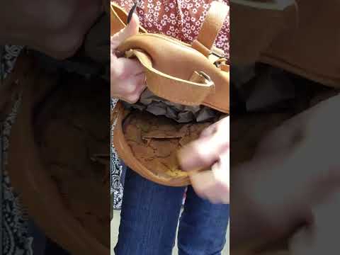 American Darling Backpack ADBGS156F